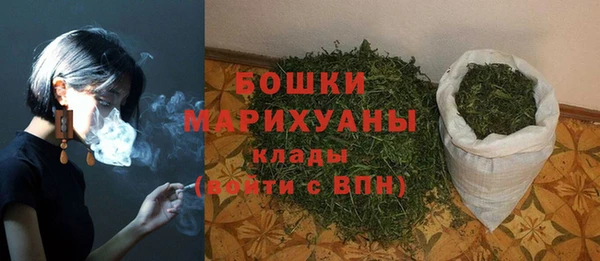 ГАЛЛЮЦИНОГЕННЫЕ ГРИБЫ Надым